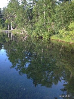 11th Crow Wing Lake-trees reflection