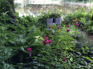 Ruth pointed out these wash tubs. Interesting thing to put plants in. Note view of pond.