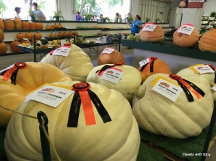 largest gourds