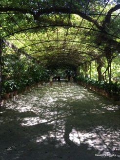 wisteria arbour - Jardín Botánico, Málaga